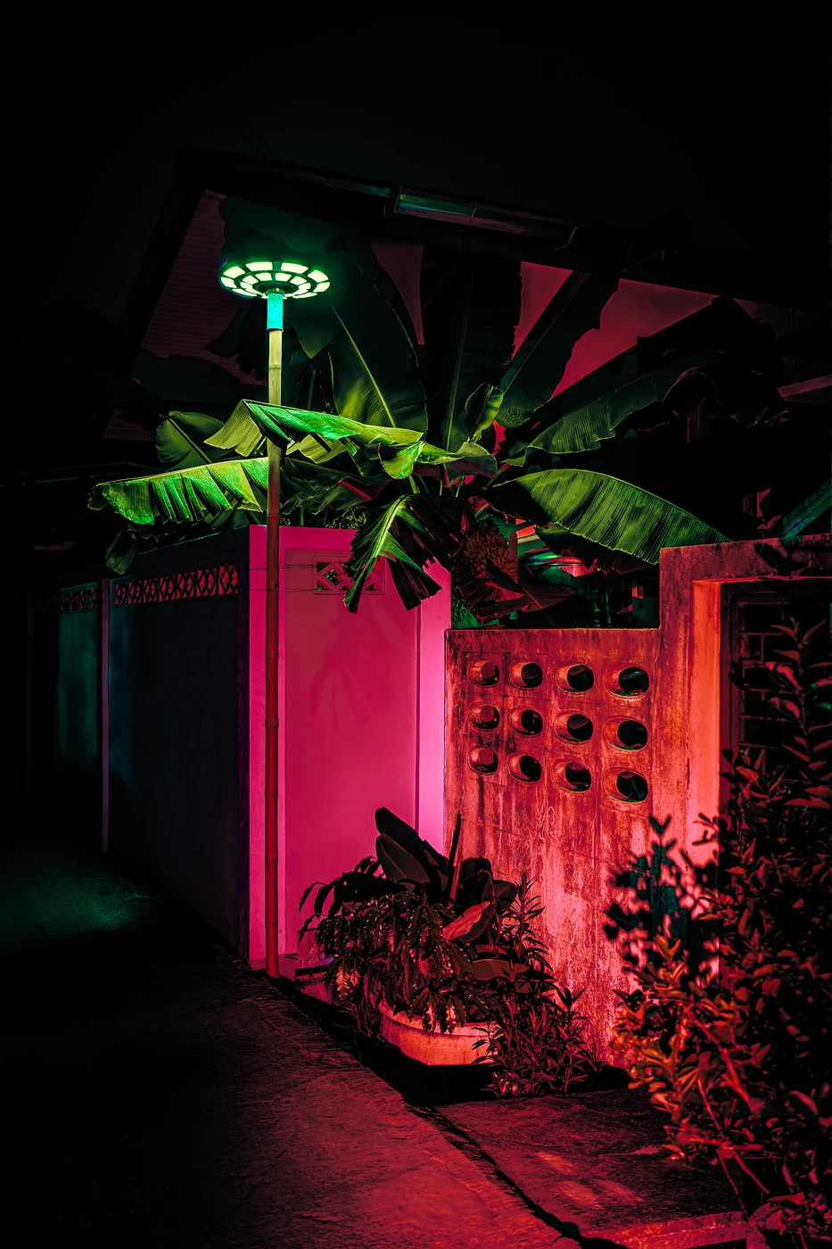 Banana tree with green-lit leaves above a hot pink wall and a perforated concrete screen, a disc-shaped streetlight above.