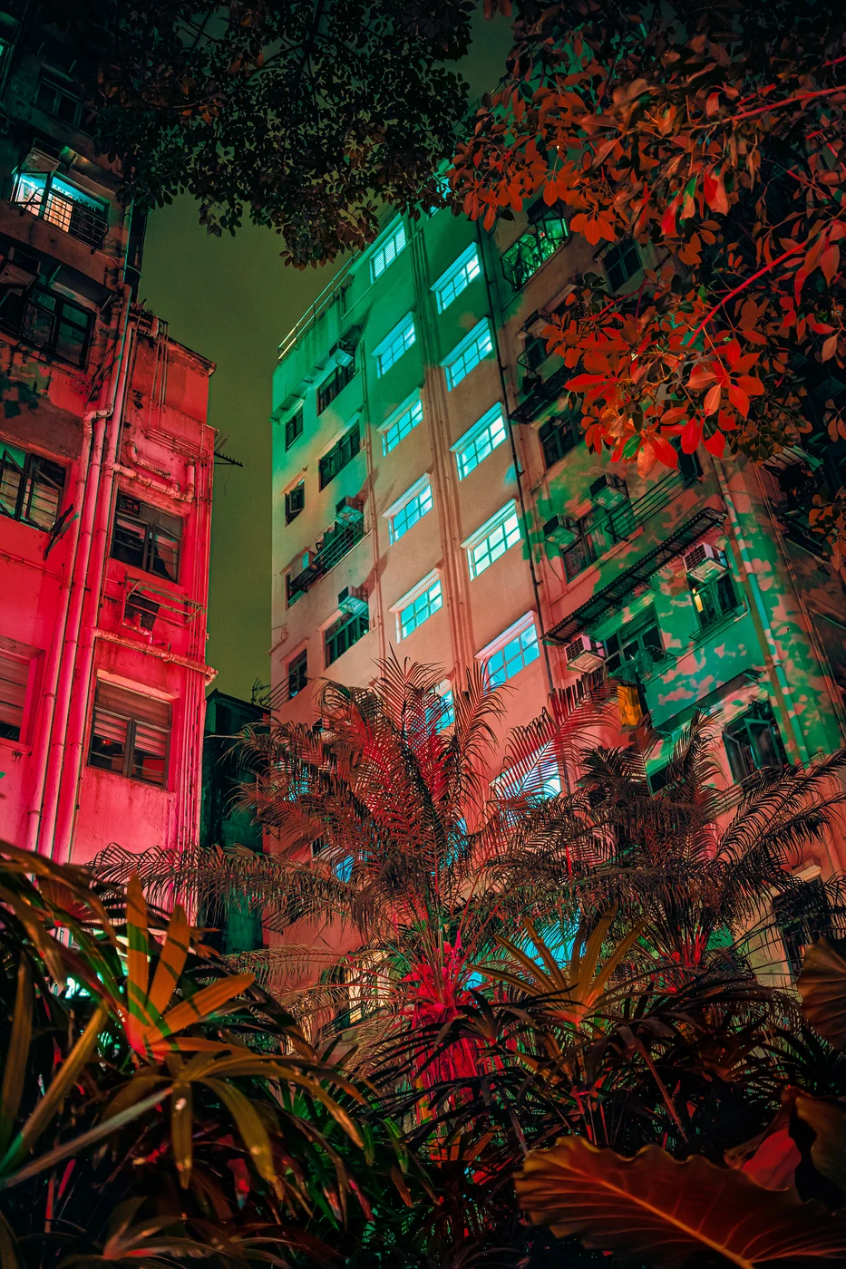 Tropical plants and palms beneath old residential blocks lit pink, green and cyan at night, red-lit leaves above.